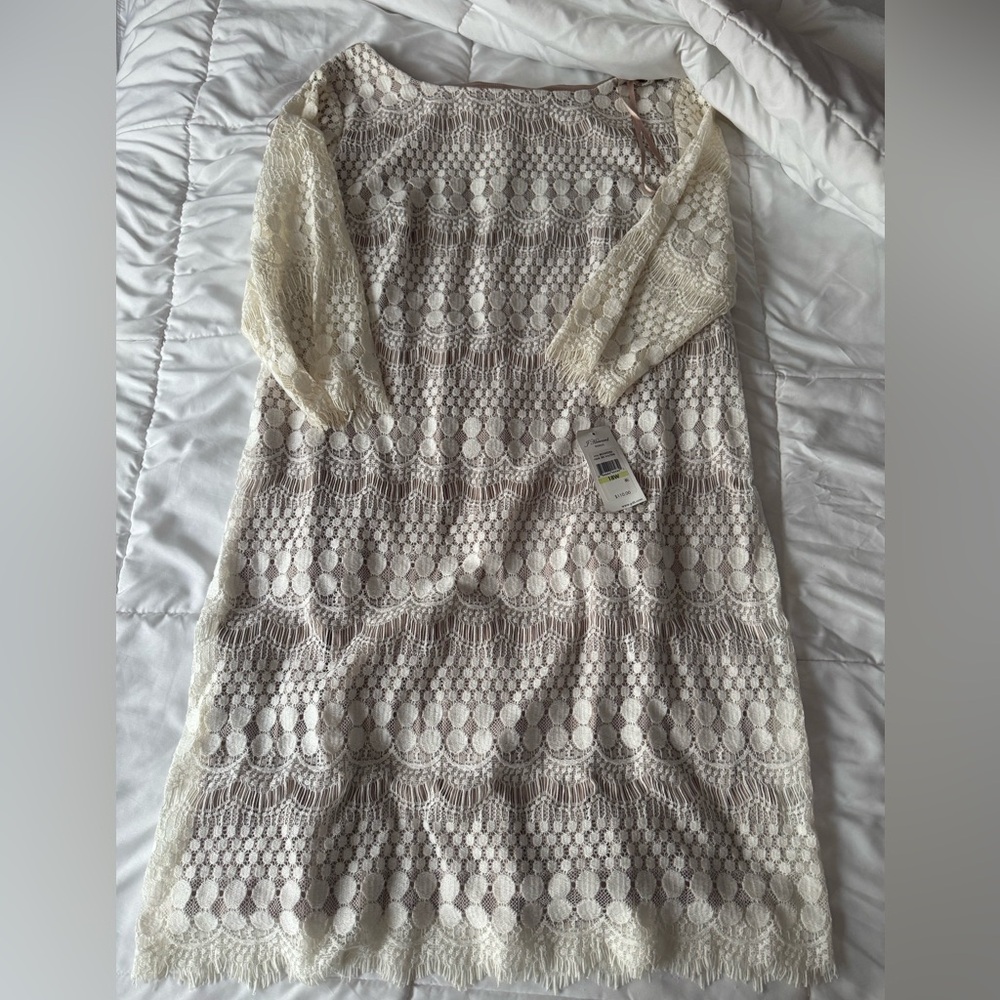 Elegant Cream Lace Dress